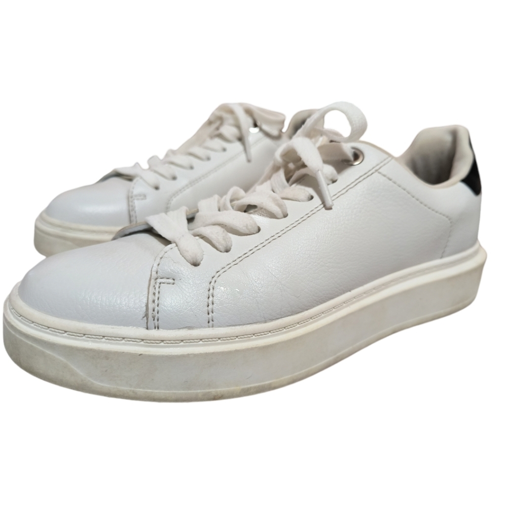 The Steve Madden Women's Catcher Sneaker Size 8